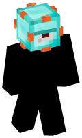 Skinfile