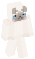 Skinfile