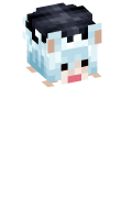 Skinfile