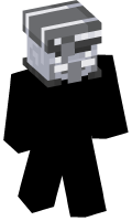 Skinfile