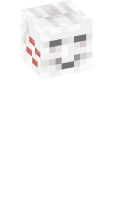 Skinfile