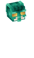 Skinfile