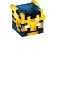 Skinfile