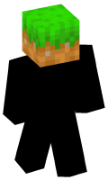 Skinfile