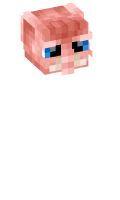 Skinfile