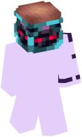 Skinfile