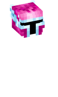 Skinfile
