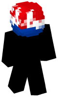 Skinfile