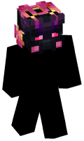Skinfile