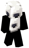 Skinfile