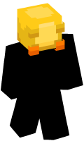 Skinfile