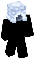 Skinfile