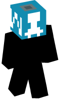 Skinfile