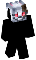 Skinfile