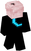 Skinfile