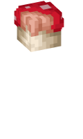 Skinfile