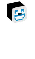 Skinfile