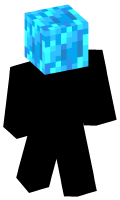Skinfile