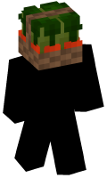 Skinfile