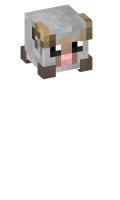 Skinfile