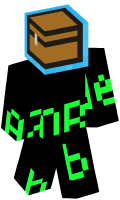 Skinfile