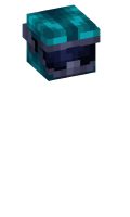 Skinfile