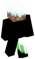 Skinfile