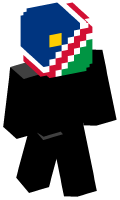 Skinfile