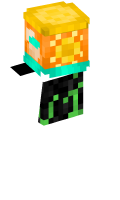 Skinfile