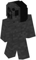 Skinfile