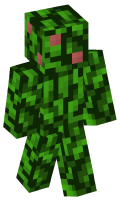 Skinfile