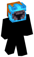 Skinfile