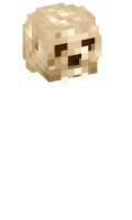 Skinfile