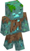 Skinfile