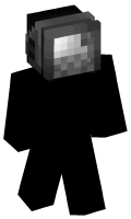 Skinfile