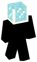 Skinfile