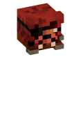 Skinfile