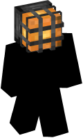 Skinfile