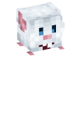 Skinfile