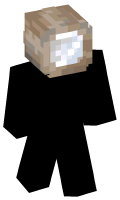 Skinfile