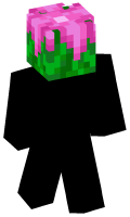 Skinfile