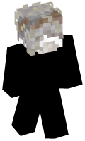 Skinfile