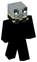 Skinfile