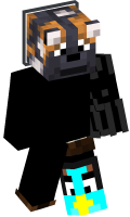 Skinfile