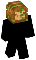 Skinfile