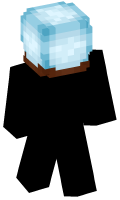 Skinfile