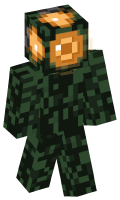 Skinfile