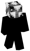 Skinfile