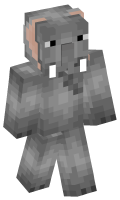 Skinfile