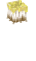 Skinfile